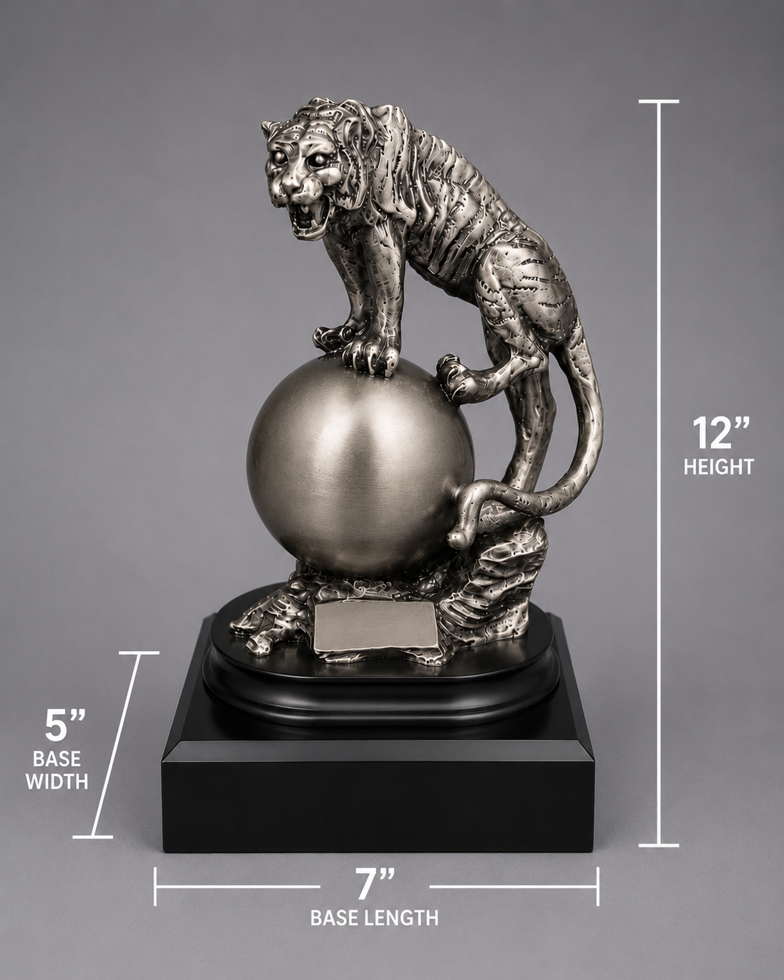 silver tiger statue on a sphere with measurements indicated. 12 inch height. 6 inch base width. 7 inch base length
