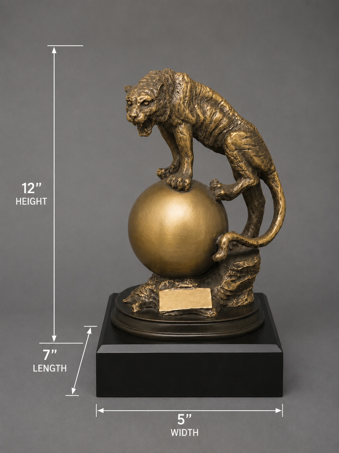 Bronze tiger statue on a sphere with dimensions indicated. 12 inch height. 7 inch base length. 5 inch base width
